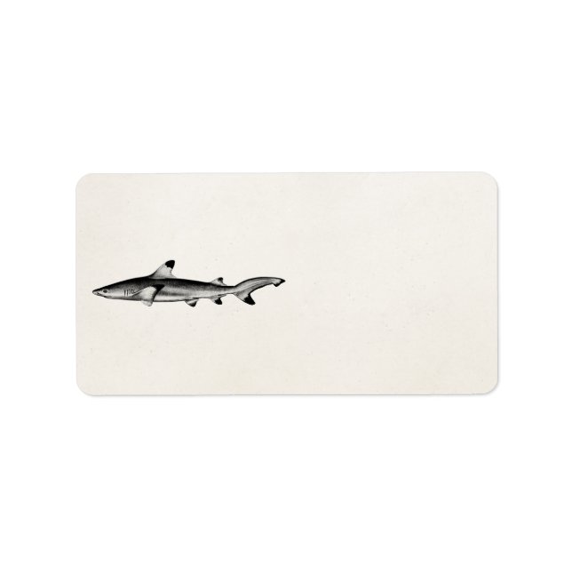 Vintage Reef Shark Illustration - Black Tipped Label (Front)