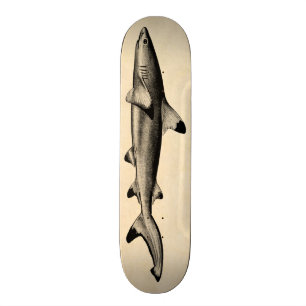 Vintage Reef Shark Illustration - Black Tipped Skateboard
