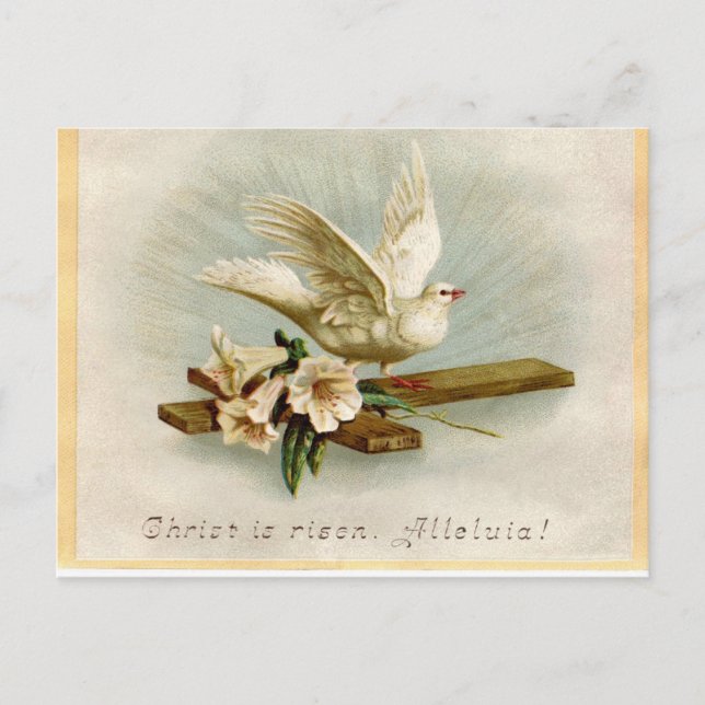 Vintage Religious Easter Dove Postcard (Front)