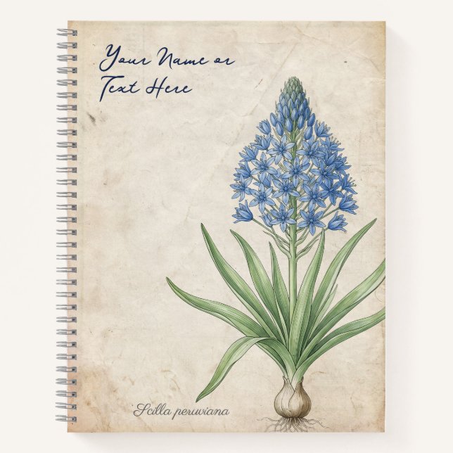 Vintage Renaissance Peruvian Squill Notebook (Front)