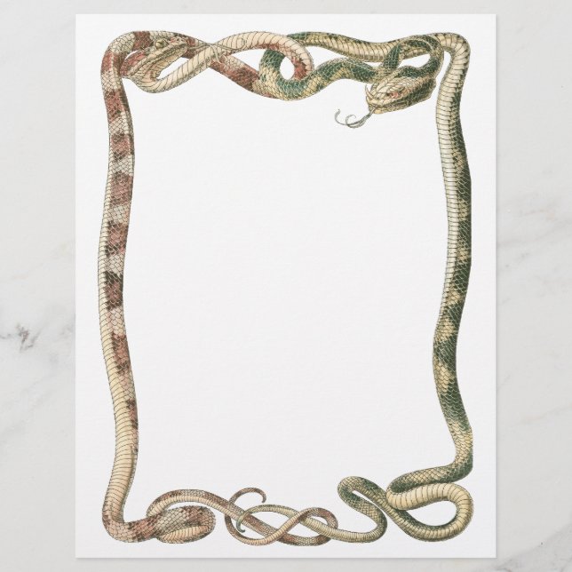 Vintage Reptiles, Entwined Snakes or Vipers Border Flyer (Front)