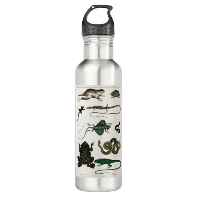 Vintage Reptiles Snake Lizard 710 Ml Water Bottle (Front)