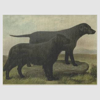 Vintage Retrievers Tissue Paper