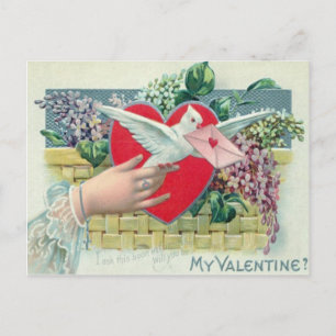 Vintage Retro Carrier Pigeon With Valentine Card