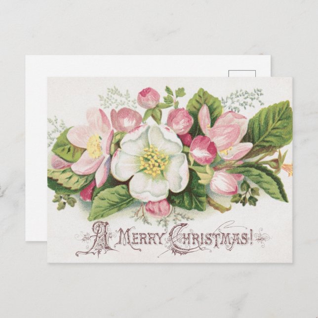 Vintage Retro Christmas Card, Apple Blossoms Postcard (Front/Back)