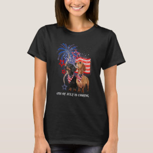 Vintage Retro Dachshund American Flag 4th Of July T-Shirt