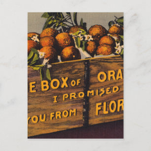 Vintage Retro Florida Oranges Postcard