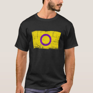 Vintage Retro Lgbt Intersex Flag T-Shirt