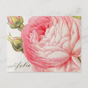 Vintage retro romantic valentines rose holiday postcard