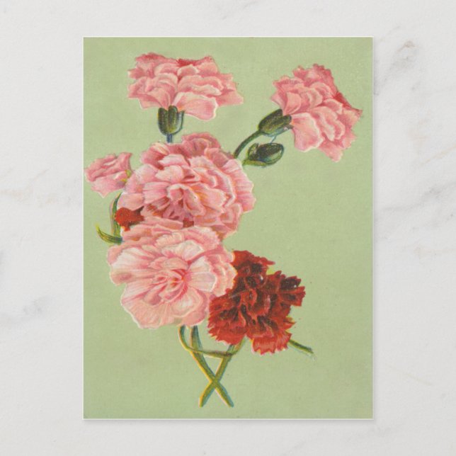Vintage Retro Roses Postcard (Front)