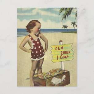 Vintage Retro Sea Shells Florida Postcard
