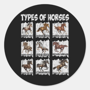 Vintage Retro Types Of Horses Classic Round Sticker