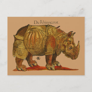 Vintage Rhino Durer's Rhinoceros Antique Postcard