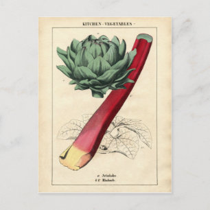 Vintage Rhubarb Botanical Print Postcard