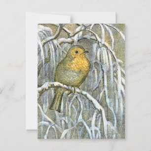 Vintage Robin bird on a snowy branch Postcard