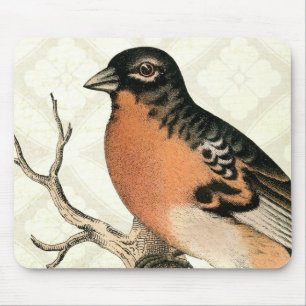 Vintage Robin Mouse Pad