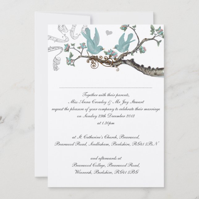 Vintage Robin's Egg Blue Wedding Invitations (Front)