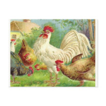 Vintage Rooster and Chickens