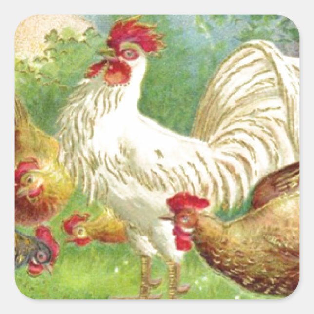 Vintage Rooster and Chickens Square Sticker (Front)