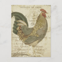 Vintage Rooster Brown Feathers French Ephemera