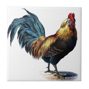 Vintage Rooster Ceramic Tile