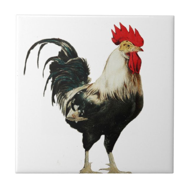 Vintage Rooster Chicken Customise Animal best Ceramic Tile (Front)