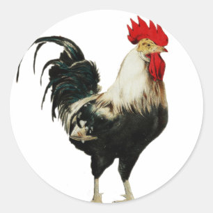 Vintage Rooster Chicken Customise Animal best Classic Round Sticker