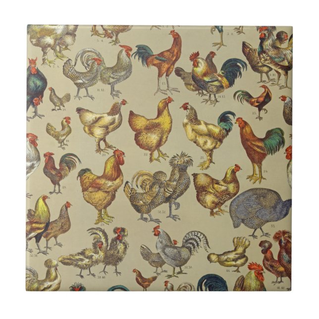 Vintage Rooster Chicken Pattern: Farmhouse Art Ceramic Tile (Front)