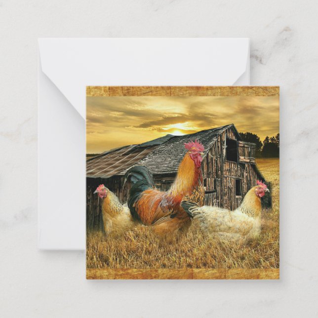 Vintage Rooster Hens Rustic Barn Coop Card (Front)