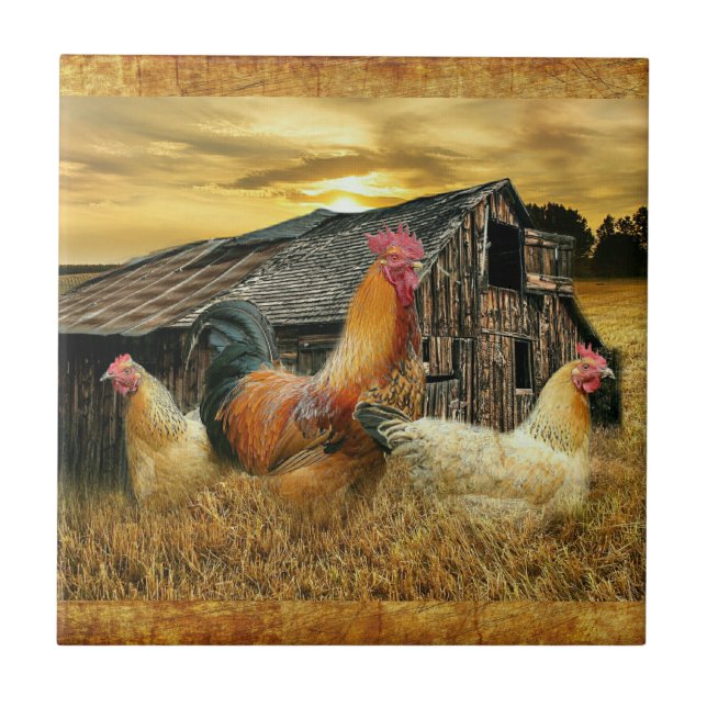 Vintage Rooster Hens Rustic Barn Coop Ceramic Tile (Front)