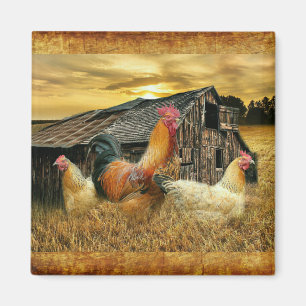 Vintage Rooster Hens Rustic Barn Coop Magnet