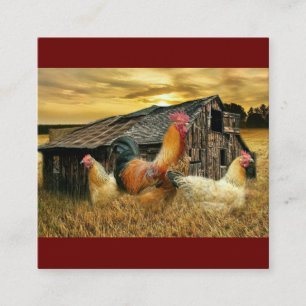 Vintage Rooster Hens Rustic Barn Coop Square Business Card