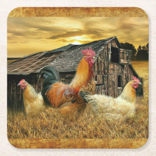 Vintage Rooster Hens Rustic Barn Coop Square Paper Coaster