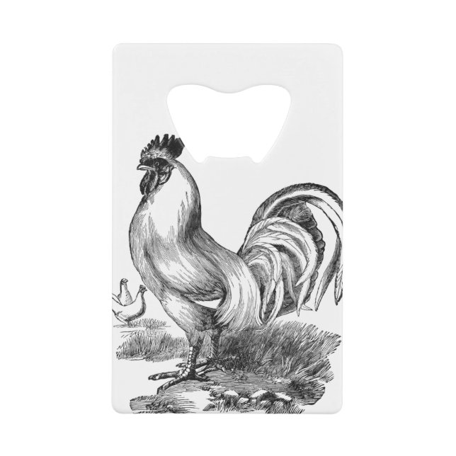 Vintage rooster illustration (Front)