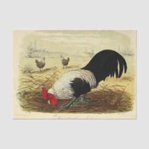 Vintage rooster party or craft tissue paper