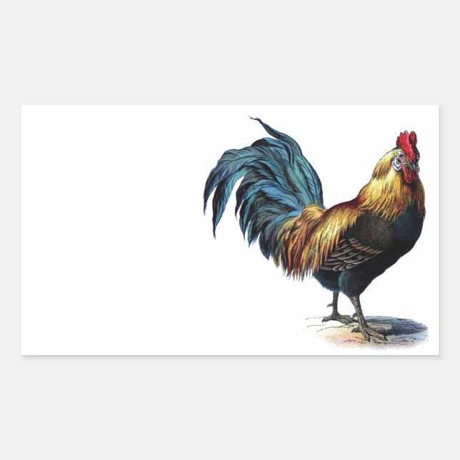 Vintage Rooster Rectangular Sticker (Front)