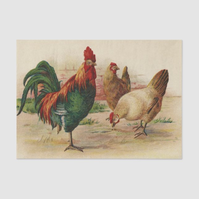 Vintage roosters and hens party tissue paper (Front)