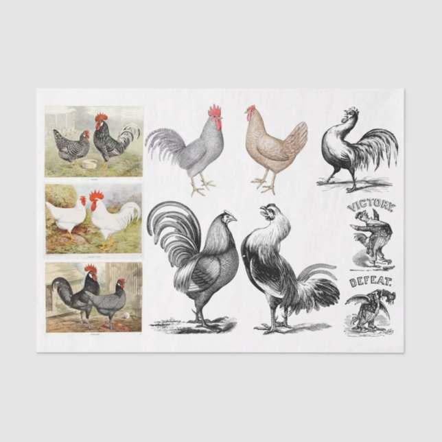 Vintage Roosters Hens Farm Decoupage Collage Tissue Paper (Front)