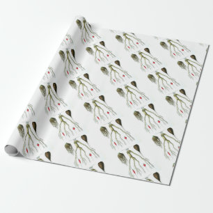 Vintage Root Vegetables Botanical Print Wrapping Paper