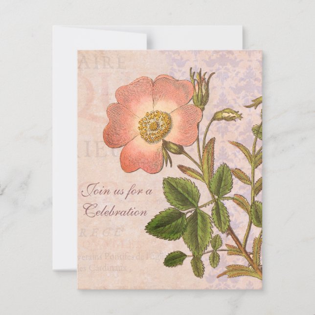 Vintage Rose Birthday Party Invitation (Front)