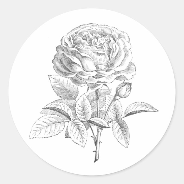 Vintage rose black and white floral sticker (Front)