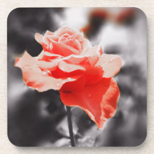 Vintage Rose Flowers #2 Coaster