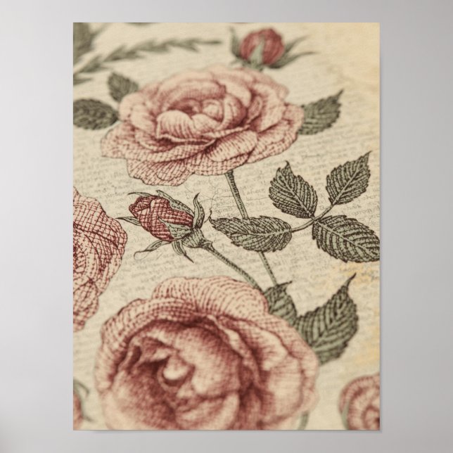 Vintage Rose Garden Botanical Poster (Front)