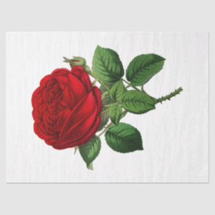Vintage Rose Series Design 106 Tissue Paper