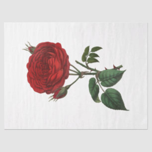 Vintage Rose Series Design 116 Tissue Paper