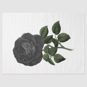 Vintage Rose Series Design 31 Tissue Paper