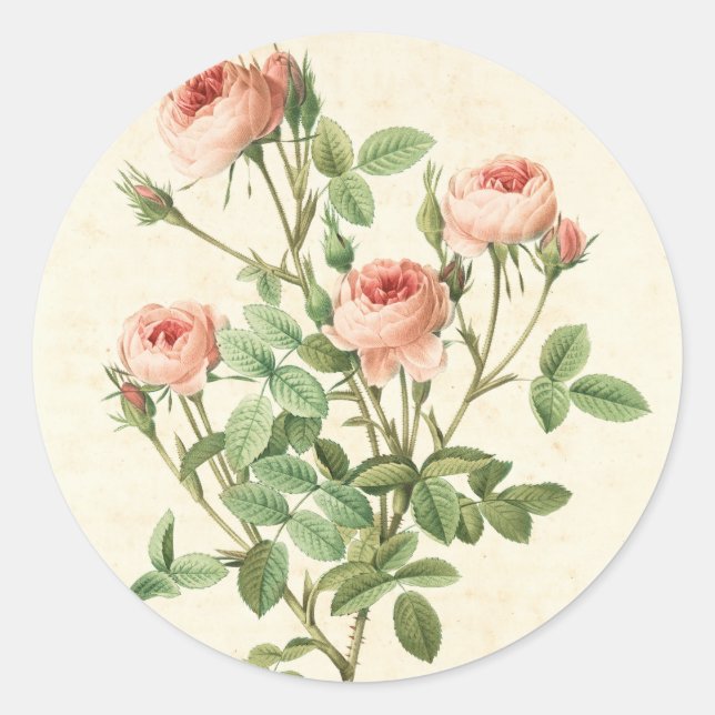 Vintage Rose Sticker (Front)