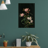 Vintage Roses against black background