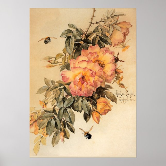 Vintage Roses and Bumblebees Poster (Front)