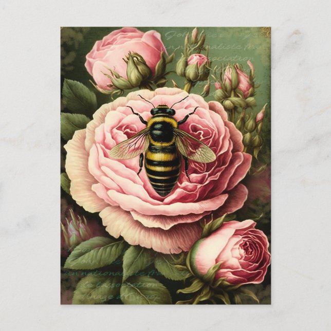 Vintage Roses and Queen Bee Postcard (Front)